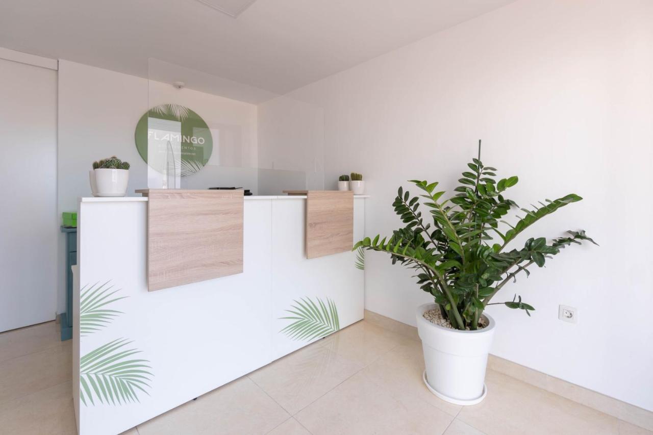 Apartamentos Flamingo Πουέρτο Ντελ Κάρμεν Εξωτερικό φωτογραφία